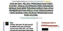 Penyiksa Ratusan Kucing Itu Akhirnya Ditindak BSM