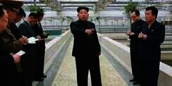 Kolam Kurang Air, Kim Jong-Un Eksekusi Mati Peternak Kura-kura
