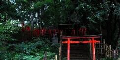 Ini 3 Tempat Wisata Penuh Misteri di Jepang