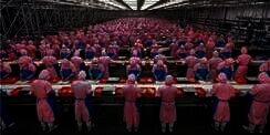 Dampak Sistemik Pelemahan Rupiah di Sektor Industri