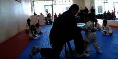 Menggemaskan, Karateka Cilik vs Sepotong Kayu