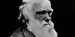 Surat Pengakuan Ateis Charles Darwin Dilelang Rp 1,3 M
