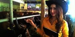 Cerita Para Bidadari di Antara Gerombolan Sapi Kurban