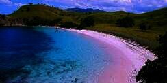 Pesona Dua Pantai Berpasir 'Pink' di Sudut Indonesia