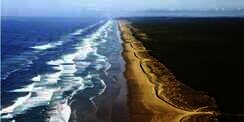 Pantai Terpanjang dan Terlurus Ada di Australia