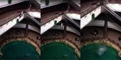 2 Pria Ini Nekad Terjun Ke Kolam Dari Lantai Dua Mall