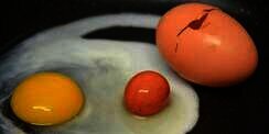 Pasangan Suami Istri Temukan Telur di Dalam Telur Ayam