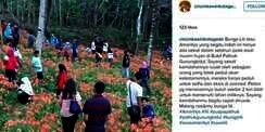 Selfie ala Syahrini, Taman Bunga Langka di Yogya Rusak