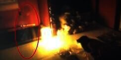`Hantu` Gadis Cilik Terekam CCTV, Pemilik Rumah Girang