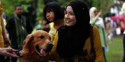 Bolehkah Muslim Memelihara Anjing?