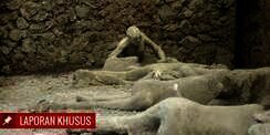 Pompeii, Tragedi Kota 'Maksiat' yang Diazab Tuhan