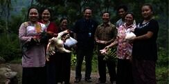 Bayar Listrik Unik Pakai Bebek, Ayam Sampai Singkong