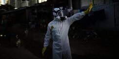 Lakukan Ini Jika Terpaksa Harus Kunjungi Negara KLB Virus Zika