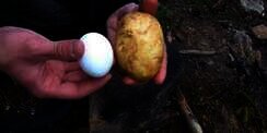 Cara Unik, Memasak Telur di Dalam Kentang