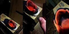 Seram! Mau Pakai Sepatu Ternyata di Dalamnya Ada... 