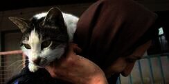 Ulama Ini Haramkan Selfie dengan Kucing