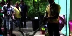 Buang Hajat di Toilet, Si Wanita Kaget Ternyata Keluar...