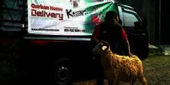 Mudahnya Belanja Hewan Kurban 