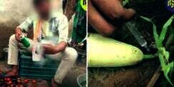 Terkuak! Ini Cara Pedagang Tipu Pembeli Sayuran Segar