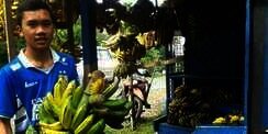 Dulu Hidup Menumpang, Bobotoh Yatim Jadi `Juragan` Pisang