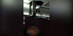 Pengunjung Restoran Gempar Ular Raksasa Jatuh di Atas Meja