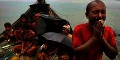 Tragedi Rohingya, MUI Desak Nobel Aung San Suu Kyi Dicabut