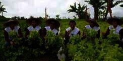 Berkah Panen di Kebun Para Pecinta Alquran