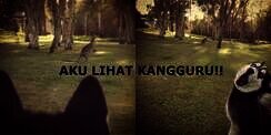 10 Emosi Lucu Hewan Saat Melihat Hal Baru dalam Hidupnya