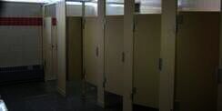 Ini Alasan Pintu Toilet Umum Dibuat Sebatas Lutut