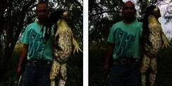 Tangkap Katak Raksasa, Pria Ini Langsung Tenar!