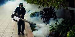 'Fogging' Tak Berantas Semua Jenis Nyamuk