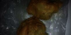 Heboh Kue Pastel untuk Takjil, Astaga Isinya...