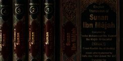 Ibnu Majah, Pelopor Penyusunan Kitab Sunan