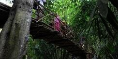 Setelah 100 Tahun, Warga Jagabita Baru Punya Jembatan Beton