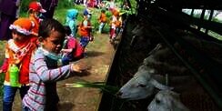 Nabung Rp5 Ribu, Insya Allah Bisa Beli Hewan Kurban
