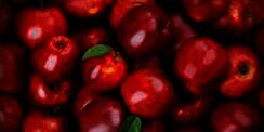 5 Buah Pengganti Obat Panas Dalam