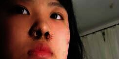 Tren Kecantikan Baru Bikin Ngakak! Hair Extension Bulu Hidung