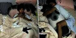 Terlihat Seperti Guling, Tak Tahunya Pria Ini Tidur dengan...