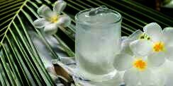 5 Rekomendasi Minuman Penyegar Tubuh