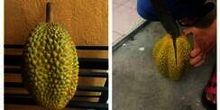 Pria Ini Beli Durian Rp15 Ribu, Saat Dibuka Isinya Bikin Kaget