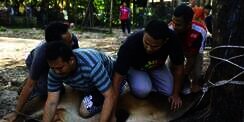 Tidak Sah Qurban Karena Belum Aqiqah?