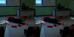 Kocak! Ketiduran di Lantai, Mahasiswa Kaget Dosen Sudah Masuk