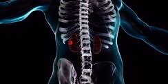Organ Baru dalam Tubuh Manusia Ditemukan