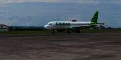 Viral Anak Autis Dilarang Terbang, Ini Tanggapan Citilink