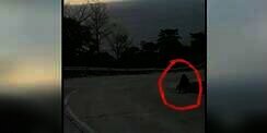 Geger Penampakan di Pinggir Jalan, Ini Kata Kapolres Sukabumi