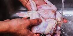 Awas, Jangan Cuci Daging Ayam Pas Mau Memasaknya