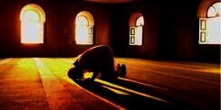 Niat dan Tata Cara Sholat Dhuha Lengkap, Beserta Bacaan Doa Sesuai Sunnah