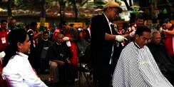 Ditemani Istri & Menteri, Jokowi Pangkas Rambut di Bawah Pohon