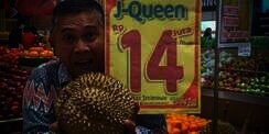 Heboh Durian Seharga Rp14 Juta di Tasikmalaya