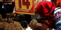Durian J-Queen Rp14 Juta, Benarkah Sangat Lezat?